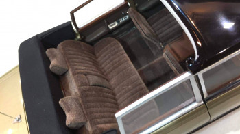 84480515_2985844574770722_7303292635001651200_o